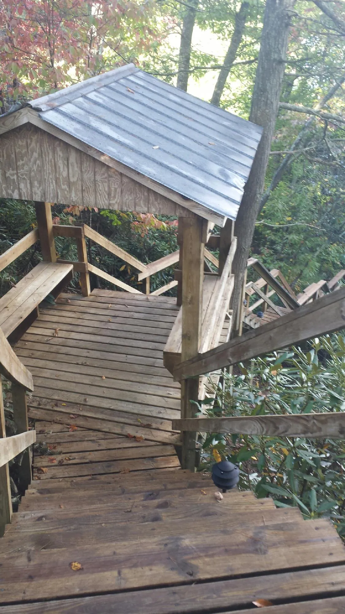 Metal roofed shelter over wooden steps on a wooded walkway — Skylight Repair & Installation work by our crew in Mount Blanchard